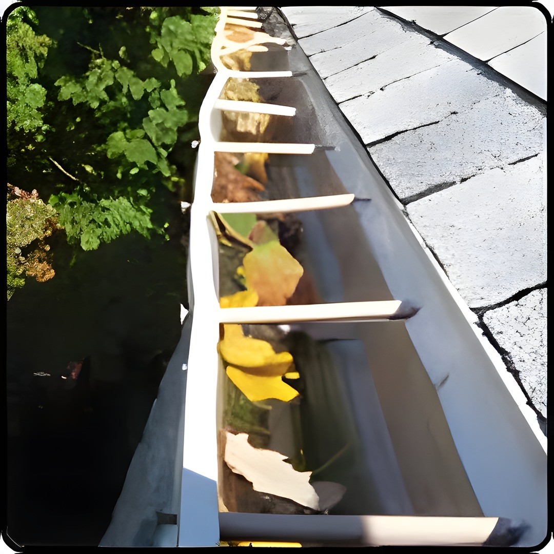 Leaves, sticks, bugs and twigs in gutter